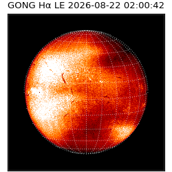 gong - 2026-08-22T02:00:42