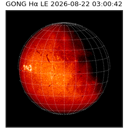 gong - 2026-08-22T03:00:42