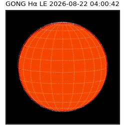 gong - 2026-08-22T04:00:42