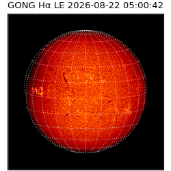 gong - 2026-08-22T05:00:42