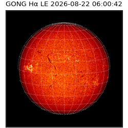 gong - 2026-08-22T06:00:42