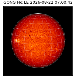 gong - 2026-08-22T07:00:42