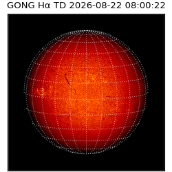 gong - 2026-08-22T08:00:22