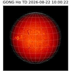 gong - 2026-08-22T10:00:22