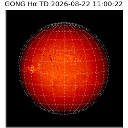 gong - 2026-08-22T11:00:22