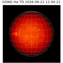 gong - 2026-08-22T12:00:22