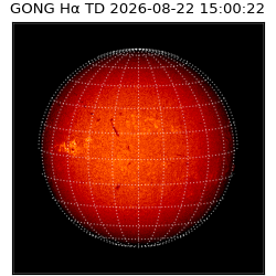 gong - 2026-08-22T15:00:22