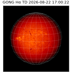 gong - 2026-08-22T17:00:22