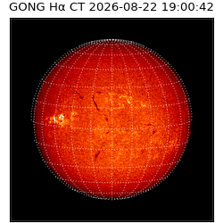 gong - 2026-08-22T19:00:42
