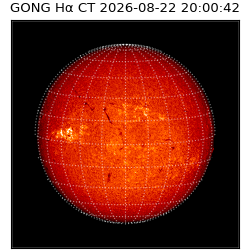 gong - 2026-08-22T20:00:42
