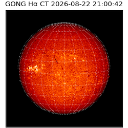 gong - 2026-08-22T21:00:42