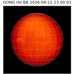 gong - 2026-08-22T23:00:02