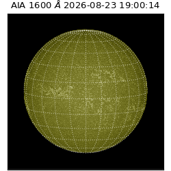 saia - 2026-08-23T19:00:14.123000