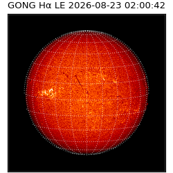 gong - 2026-08-23T02:00:42