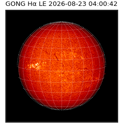 gong - 2026-08-23T04:00:42