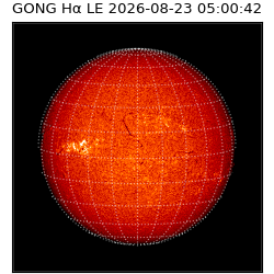gong - 2026-08-23T05:00:42