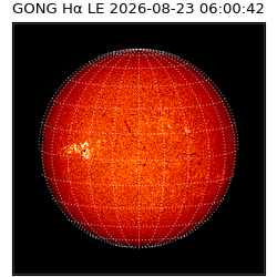 gong - 2026-08-23T06:00:42