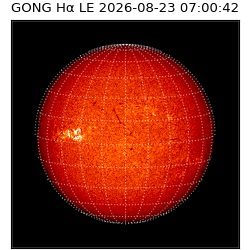 gong - 2026-08-23T07:00:42