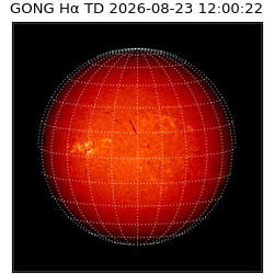 gong - 2026-08-23T12:00:22