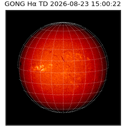gong - 2026-08-23T15:00:22