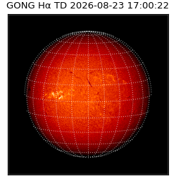 gong - 2026-08-23T17:00:22
