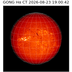 gong - 2026-08-23T19:00:42