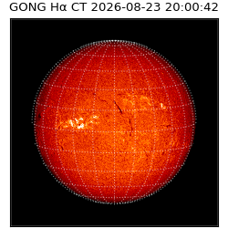 gong - 2026-08-23T20:00:42