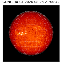 gong - 2026-08-23T21:00:42