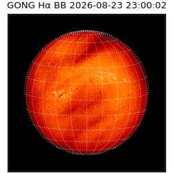 gong - 2026-08-23T23:00:02