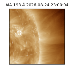 saia - 2026-08-24T23:00:04.842000