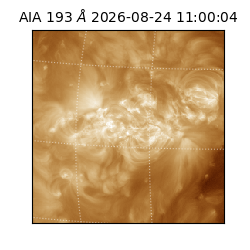 saia - 2026-08-24T11:00:04.842000