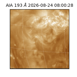 saia - 2026-08-24T08:00:28.842000