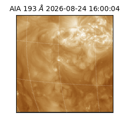 saia - 2026-08-24T16:00:04.842000