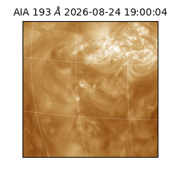 saia - 2026-08-24T19:00:04.842000