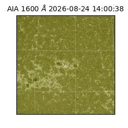 saia - 2026-08-24T14:00:38.123000