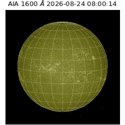 saia - 2026-08-24T08:00:14.123000