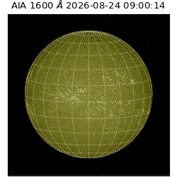 saia - 2026-08-24T09:00:14.124000