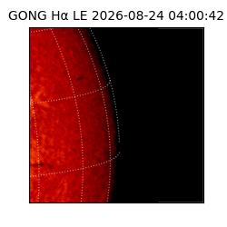 gong - 2026-08-24T04:00:42