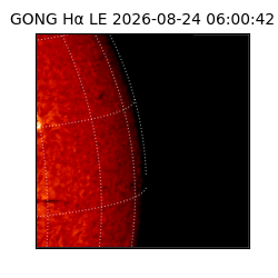 gong - 2026-08-24T06:00:42
