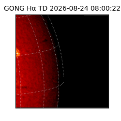 gong - 2026-08-24T08:00:22