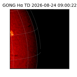 gong - 2026-08-24T09:00:22