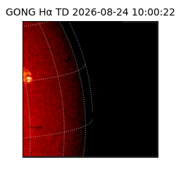 gong - 2026-08-24T10:00:22
