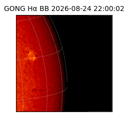 gong - 2026-08-24T22:00:02