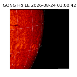 gong - 2026-08-24T01:00:42