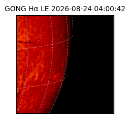 gong - 2026-08-24T04:00:42