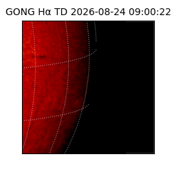 gong - 2026-08-24T09:00:22