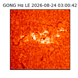 gong - 2026-08-24T03:00:42