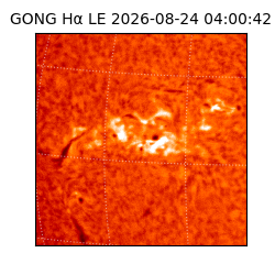 gong - 2026-08-24T04:00:42