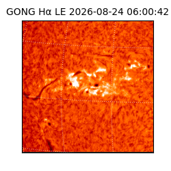 gong - 2026-08-24T06:00:42