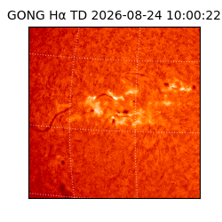 gong - 2026-08-24T10:00:22